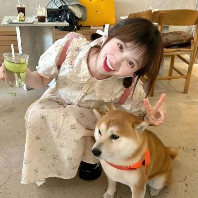 阿姐万万醉